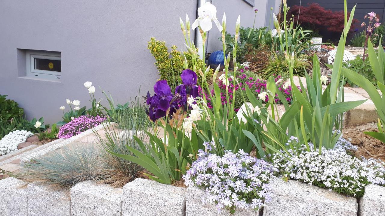 Gite Terre D'Helene 4 A 5 Pers Proche Strasbourg 42 M2, 3 Etoiles, Wifi, Paisible, Jardin, Proche Commerces,16 Atouts, Animaux Acceptes Berstett Dış mekan fotoğraf
