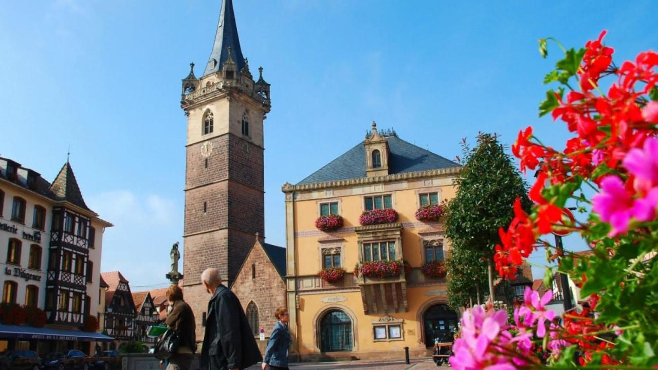 Gite Terre D'Helene 4 A 5 Pers Proche Strasbourg 42 M2, 3 Etoiles, Wifi, Paisible, Jardin, Proche Commerces,16 Atouts, Animaux Acceptes Berstett Dış mekan fotoğraf