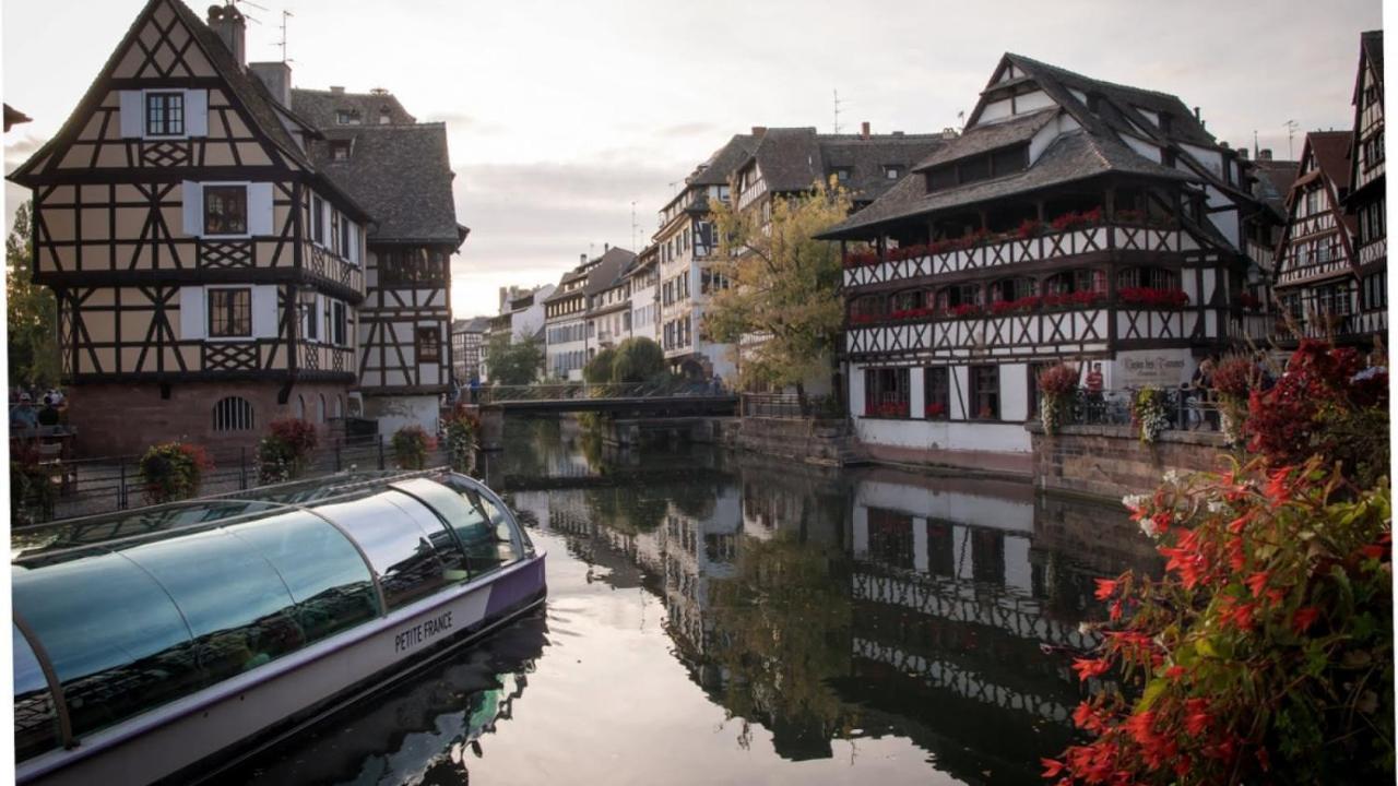 Gite Terre D'Helene 4 A 5 Pers Proche Strasbourg 42 M2, 3 Etoiles, Wifi, Paisible, Jardin, Proche Commerces,16 Atouts, Animaux Acceptes Berstett Dış mekan fotoğraf