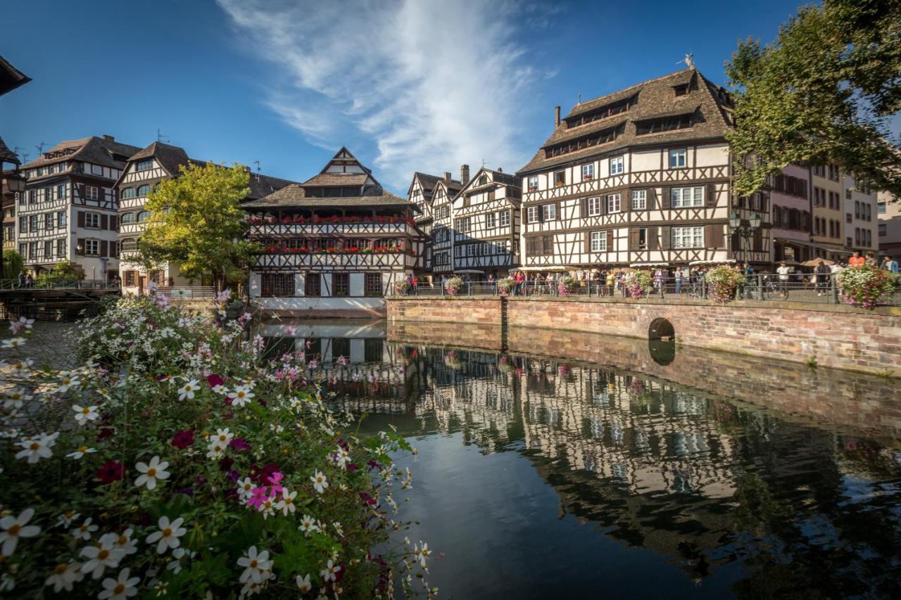Gite Terre D'Helene 4 A 5 Pers Proche Strasbourg 42 M2, 3 Etoiles, Wifi, Paisible, Jardin, Proche Commerces,16 Atouts, Animaux Acceptes Berstett Dış mekan fotoğraf
