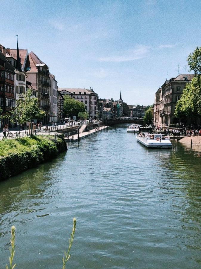 Gite Terre D'Helene 4 A 5 Pers Proche Strasbourg 42 M2, 3 Etoiles, Wifi, Paisible, Jardin, Proche Commerces,16 Atouts, Animaux Acceptes Berstett Dış mekan fotoğraf